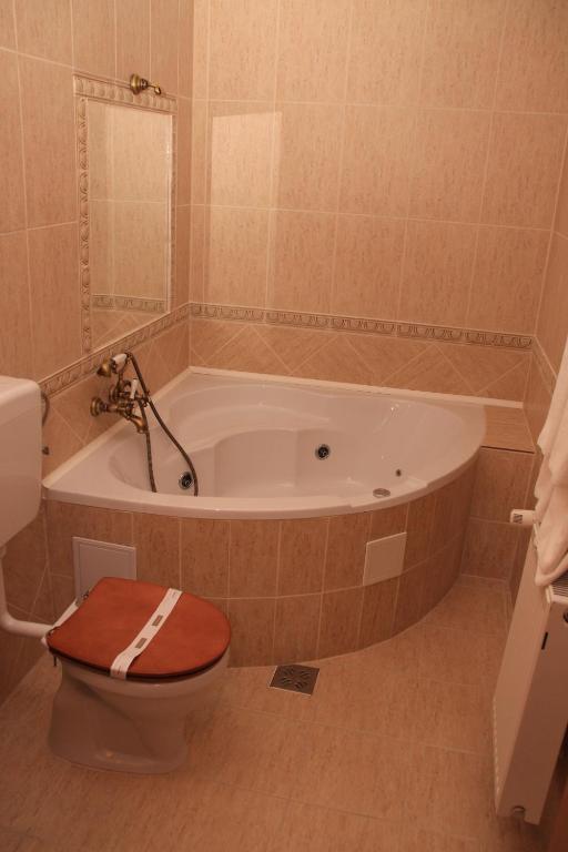 Hotel Ozon Harghita-Băi Pokoj fotografie
